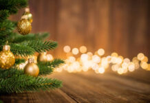 Realistické vánoční stromky nové generace