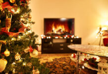 Vánoční stromky v květináči přinesou kouzlo přírody přímo k vám domů