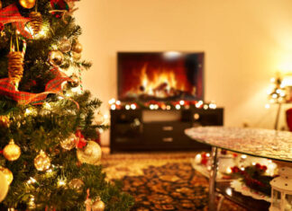 Vánoční stromky v květináči přinesou kouzlo přírody přímo k vám domů